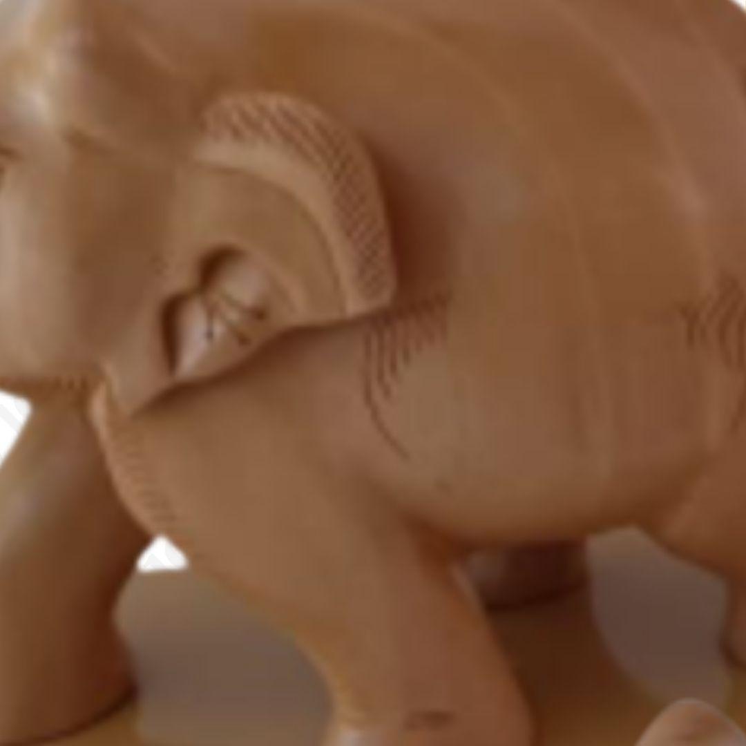Natural Wooden Elephant self color showpiece